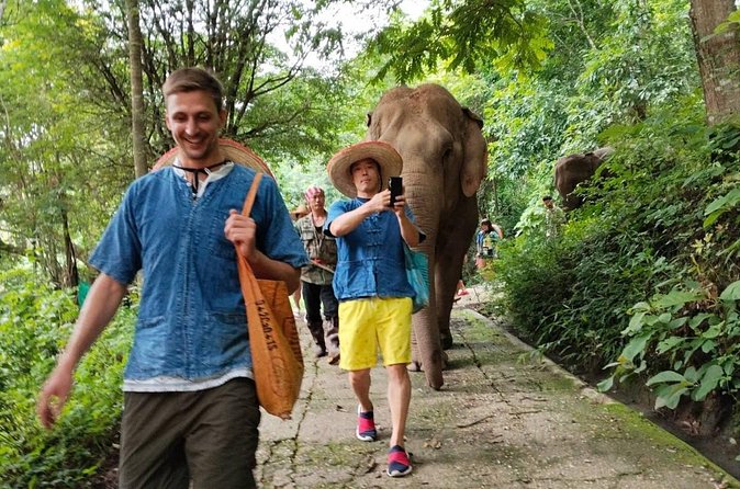 Elephant Experience and Hidden Jungle Waterfall Chiang Mai - Tips to make your day smoother (and more comfortable)