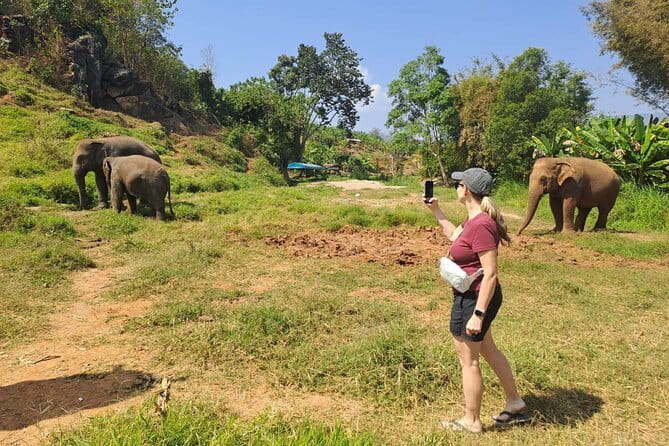 Elephant Sanctuary, Wat Ban Den & Sticky Waterfall - Who this tour fits best (and who might want to skip it)