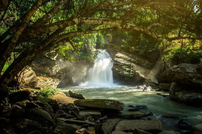 Elephant Sanctuary + Waterfall + Bamboo Rafting One Day Trip - From Chiang Mai City: the 8am pickup and van ride