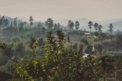 Elephant Sightings , Bamboo Rafting Through The Jungle, Swimming In a Waterfall - Elephant sightings: the animal part of the day