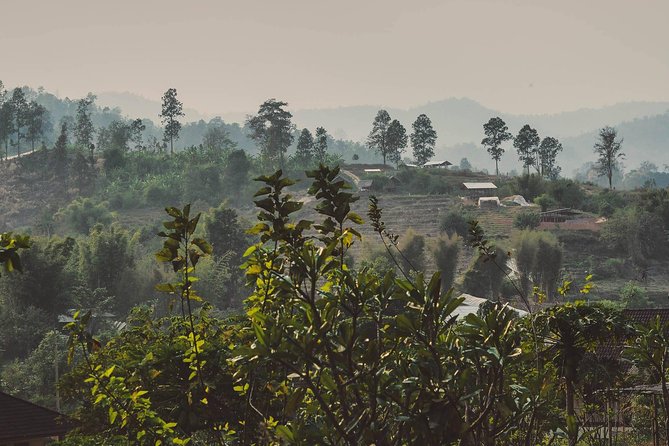 Elephant Sightings , Bamboo Rafting Through The Jungle, Swimming In a Waterfall - Elephant sightings: the animal part of the day