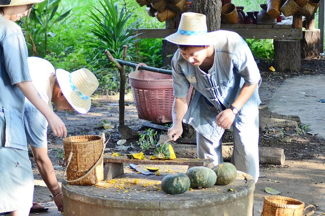 Experience Elephant Sanctuary + Sticky Waterfall - Lunch on elephant days: a real reset point