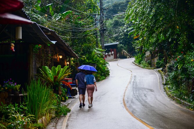 Explore Mae Kampong Village from Chiang Mai City - Mae Kampong Village: 3 hours to wander wooden streets and local life