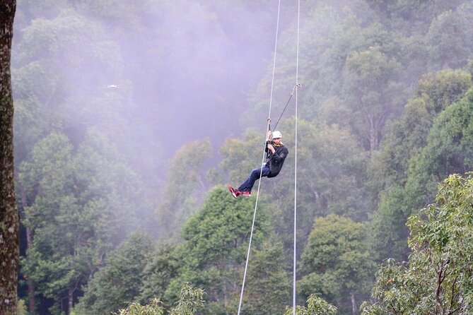 Extream Zipline @ Kingkong Smile and Dip in Hot Spring - Key Highlights You’ll Care About