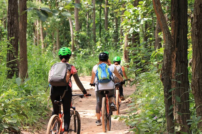 FIELDS OF GOLD Mountain Biking Tour Chiang Mai - Stop 1: Mok Fa Waterfall Cooling Off (Plus a Photo Break)