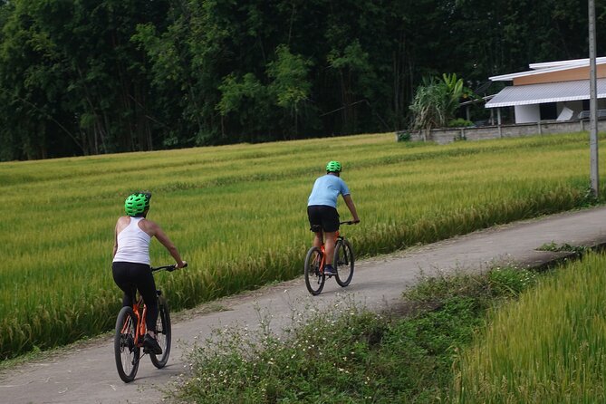 FIELDS OF GOLD Mountain Biking Tour Chiang Mai - Riding Through Farms and Rice Fields: The Part You’ll Remember
