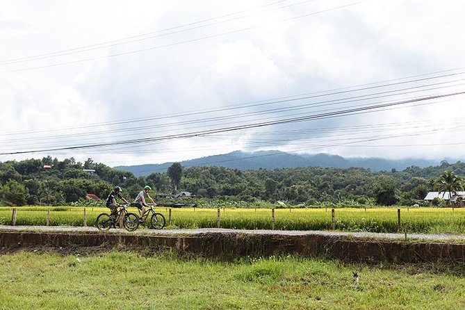 FIELDS OF GOLD Mountain Biking Tour Chiang Mai - How Hard Is 40–57 Miles, Really?