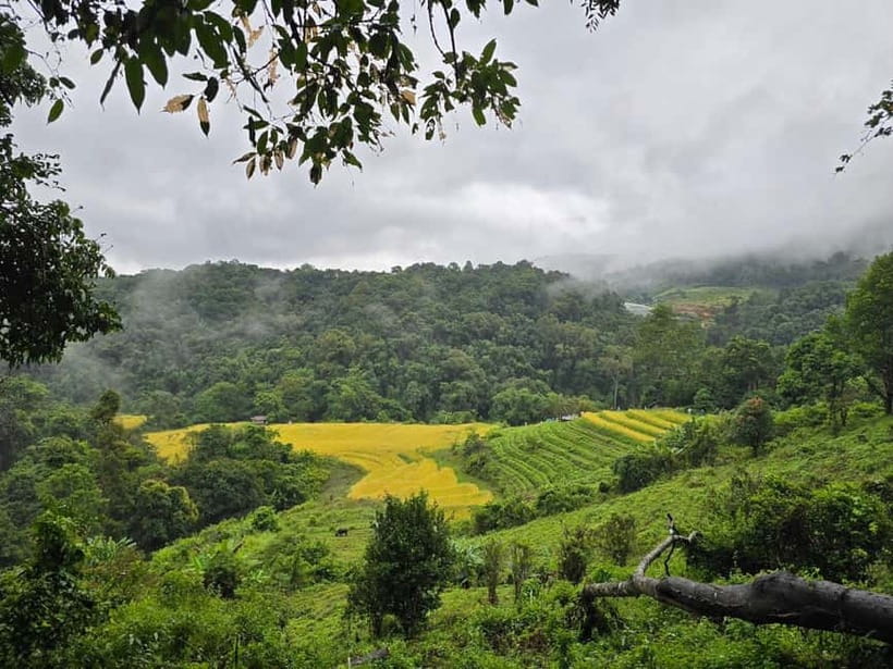 From Chiang Mai: Doi Inthanon National Park Day Trip - Hill tribe market time: Hmong crafts and seasonal fruit