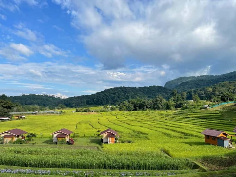 From Chiang Mai: Doi Inthanon National Park Day Trip - Price and value: what $61 covers for a full park day