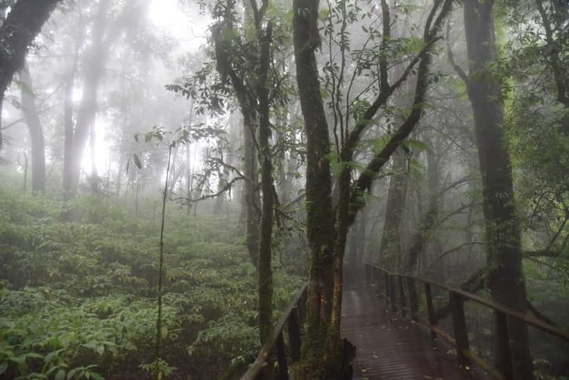 From Chiang Mai: Doi Inthanon National Park Day Trip - Reaching 2,565 meters: highest point plus the Ang Ka Luang Nature Trail