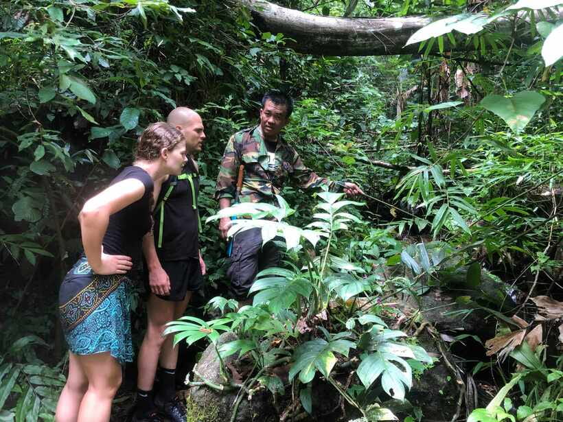 From Chiang Mai: Doi Saket Hiking Tour with Lunch - Getting Out of Chiang Mai: The Doi Saket Morning Start