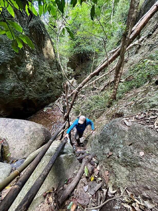From Chiang Mai: Doi Saket Hiking Tour with Lunch - Lunch in the Wilderness: Food, Function, and Fruit Lessons