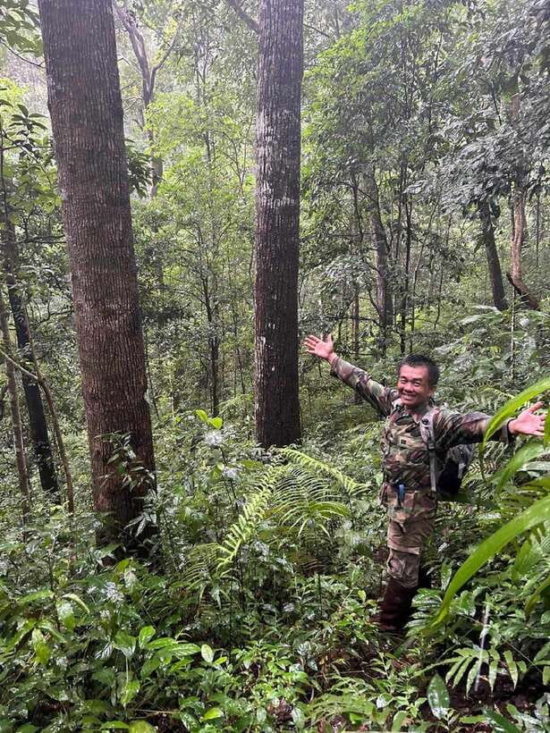 From Chiang Mai: Doi Saket Hiking Tour with Lunch - Village-to-Jungle Transition: How Forest Life Shows Up on the Trail
