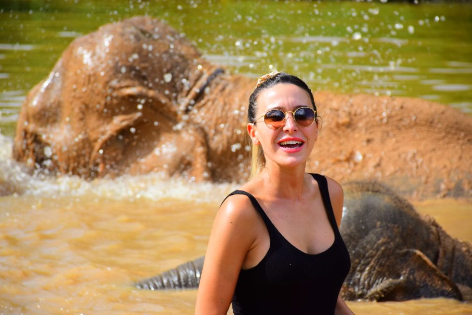 From Chiang Mai: Elephant Care Program and Nursery Tour - Thai buffet lunch: the reset you’ll be glad you planned for