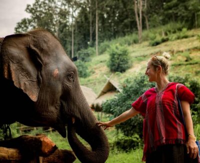 From Chiang Mai: Kerchor Eco Elephant Park Tour - Entering the park: the safety and care talk you actually need