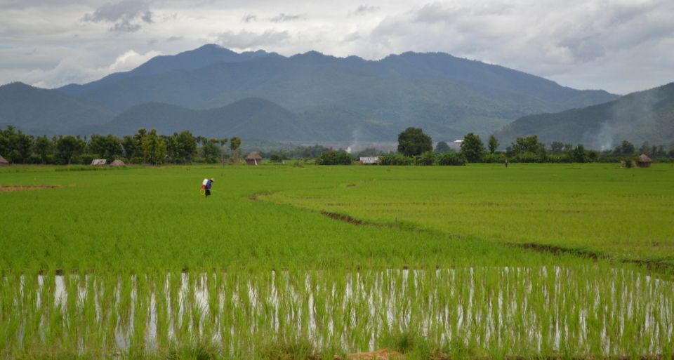 From Chiang Mai: Mae Taeng Valley and Waterfalls Cycle Tour - Thai lunch in a tropical garden: where the day turns comfortable