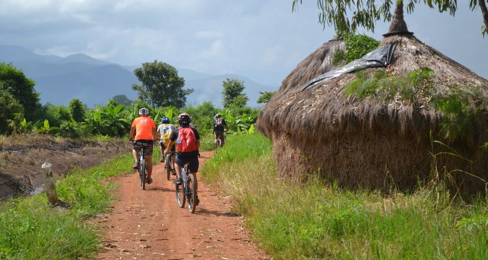 From Chiang Mai: Mae Taeng Valley and Waterfalls Cycle Tour - Bua Thong sticky waterfalls: the cooling stop that feels different