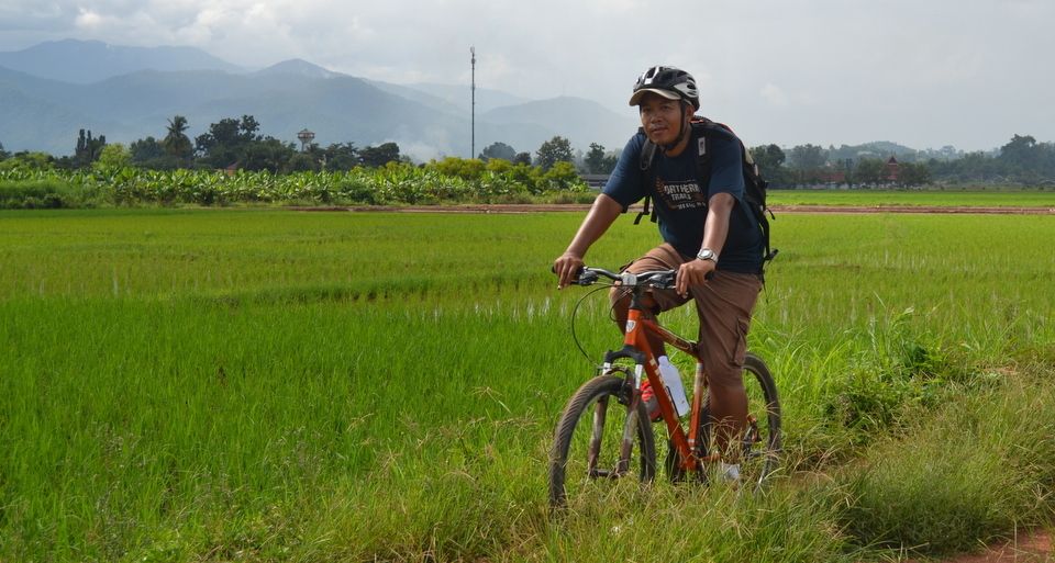 From Chiang Mai: Mae Taeng Valley and Waterfalls Cycle Tour - Value check: is $73 fair for a Chiang Mai cycling day?