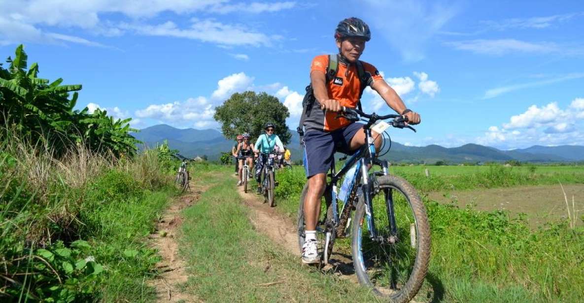 From Chiang Mai: Mae Taeng Valley and Waterfalls Cycle Tour - Morning travel: the van ride and the bike fitting that matter