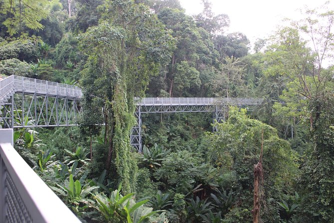 Fruiful Oneday! Trip outskirt of a City from end to end - Elephant POOPOOPAPER Park: a hands-on paper workshop