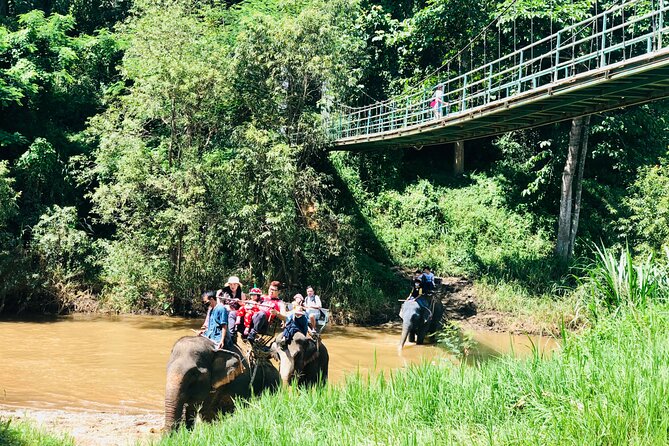 Full Day Car Hire with an English Speaking Driver in Chiang Mai - Elephant sanctuary hours: why this stop is the emotional peak of the day