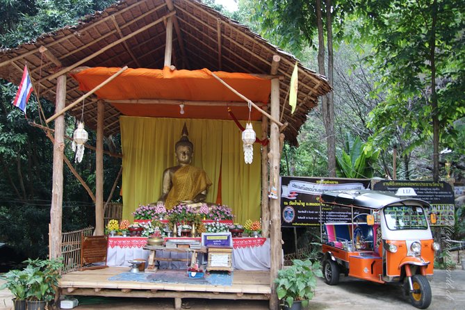 Full Day Chauffeur Driven Tuk Tuk Adventure in Chiang Mai including rafting - Elephants in the Chiang Mai region: what you’re there to learn