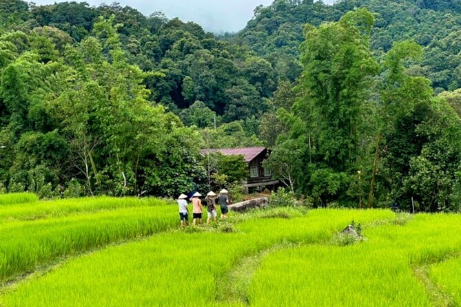 Full-Day Doi Inthanon National Park Tour with Trek and Pagodas - Baan Mae Klang Luang coffee time: a calm break in the schedule