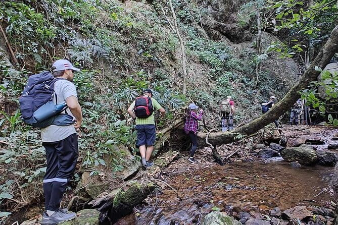 Full Day Doi Saket Hiking Tour - Key takeaways before you go