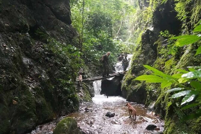 Full Day Doi Saket Hiking Tour - Morning pick-up to a remote Doi Saket village