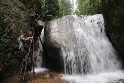 Full Day Doi Saket Hiking Tour - Trekking through ancient trees, wildlife, and mountain views