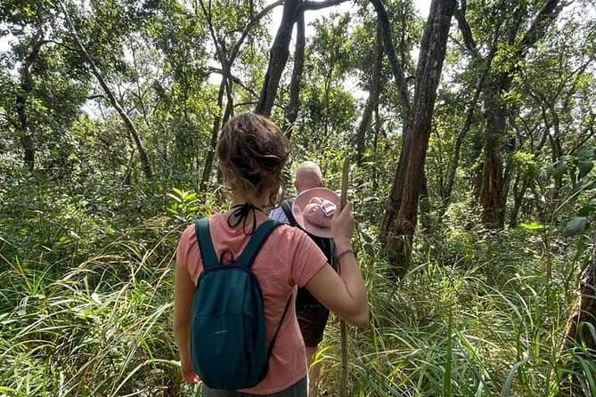 Full Day Doi Saket Hiking Tour - Who this Doi Saket hike suits best (and who might skip)