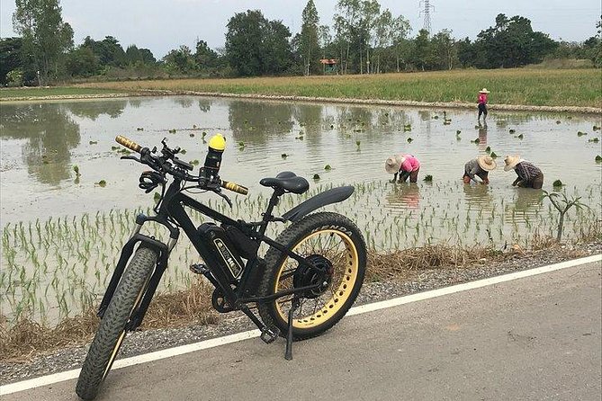 Full-day E-bike Countryside and Nam Phrae (flat-hilly, GUIDED) - Wat Ton Kwen (Wat Intharawat): Lanna-Style Temple First Thing