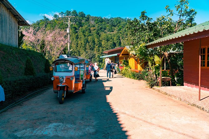 Full-Day Guided Tuk Tuk Chiang Mai Adventure and Rafting - The mountainside temple visit: monk life beyond the viewpoint