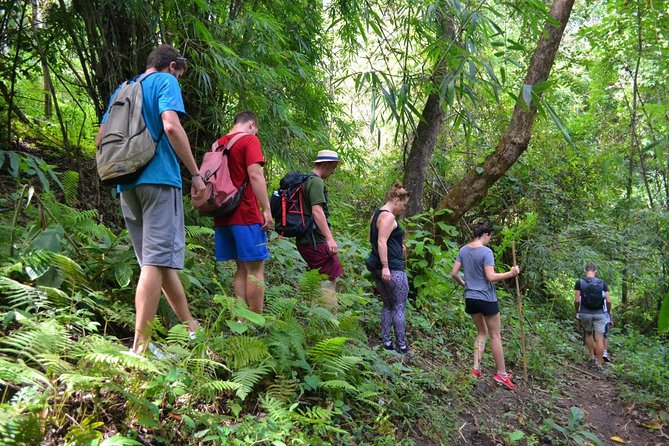 Full-Day Hike and Bike Tour from Chiang Mai - Key things I’d pack for this day (and why)