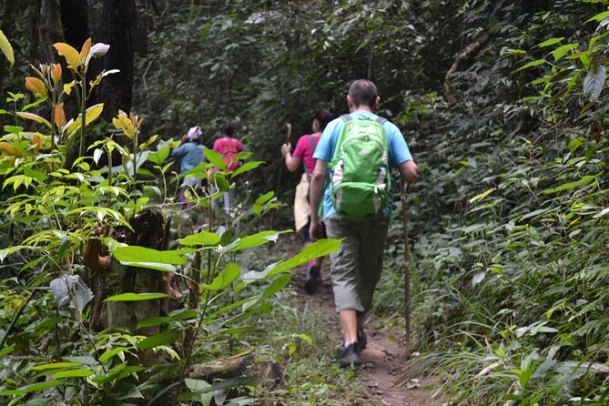 Full-Day Hike and Bike Tour from Chiang Mai - Big picture: what this Mae Sa Valley hike-and-bike day really feels like