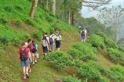 Full-Day Hike and Bike Tour from Chiang Mai - The morning drive and Wat Ban Den: a quick culture hit before you sweat