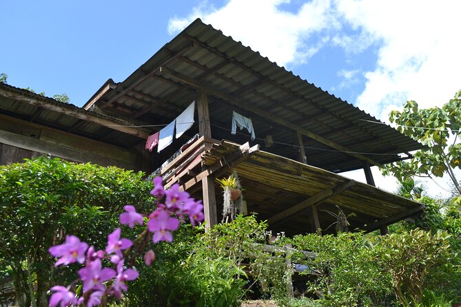 Full-Day Hike and Bike Tour from Chiang Mai - The afternoon bike ride: paved + dirt roads, real countryside pacing