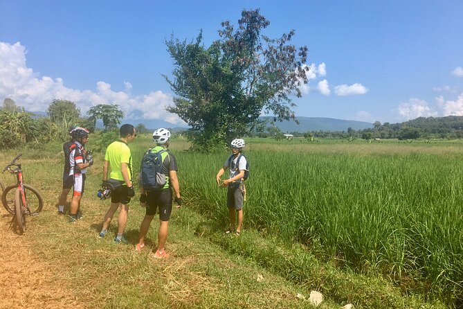 Full-Day Hike and Bike Tour from Chiang Mai - Logistics that affect comfort: transfers, group size, and timing