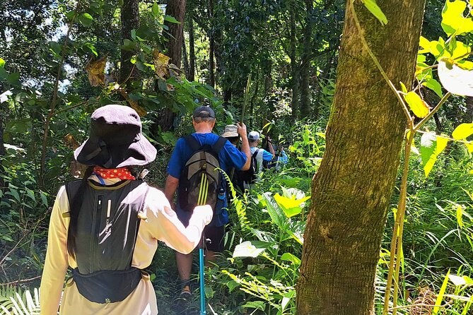 Full-Day Hike and Bike Tour from Chiang Mai - Value check: is $75 a good deal?