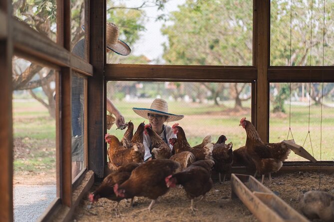 Full-Day Thai Cooking Class with Grandma - Market and Farm Tour - The Feast: Eating Your Work With Rice-Field Air