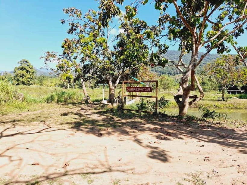 Full-day with CHIANGMAI ELEPHANT CARE and Sticky waterfall - Price and Value: Why $62 Makes Sense Here