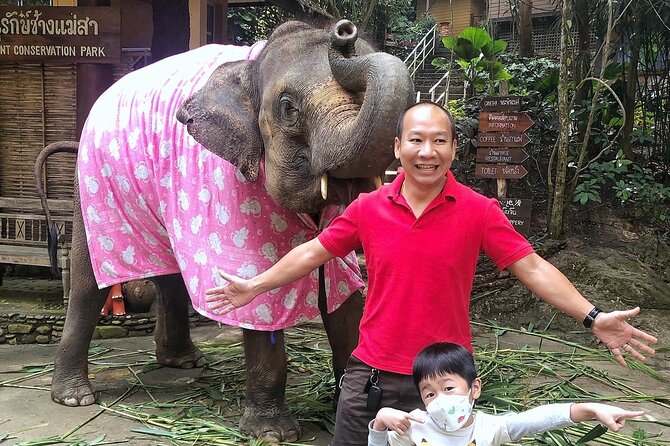 Half Day Car Hire with an English Speaking Driver in Chiang Mai - Language level: helpful, but manage expectations