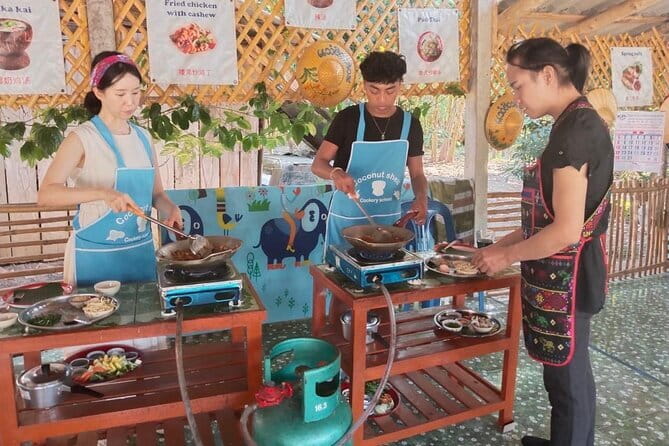 Half Day Chiang Mai Cooking Class and Market Taste Tour - Market to Meal: The Best Part of This Half-Day Chiang Mai Combo