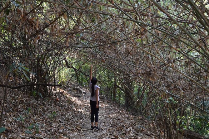 Half Day Doi Suthep Temple and short trekking on monk trail (Private Tour) - Wat Pha Lat and the Monk Trail: temple grounds, waterfalls, and a downhill walk