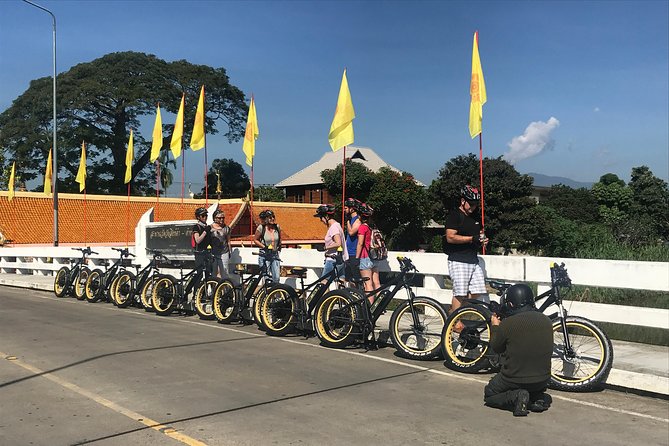 Half-day E-bike Countryside and rice paddies (flat land, GUIDED) - Key highlights worth centering your plans on