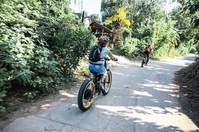 Half-day E-bike Countryside and rice paddies (flat land, GUIDED) - Rice fields, villages, and the Ping River loop you can actually enjoy