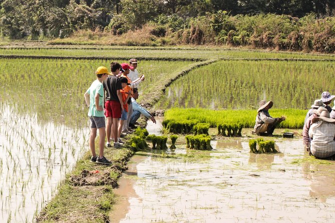 Half-Day Lanna Countryside Cycling Tour in Chiang Mai - Grand Canyon Chiang Mai Viewpoint Stop: Short, Worth It, Ticket Extra