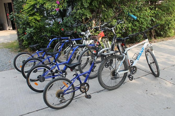 Half-Day Lanna Countryside Cycling Tour in Chiang Mai - Group Size and the Guide: Why It Matters on a Small Ride