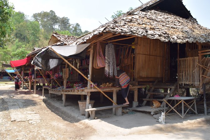 Half Day Long Neck hill tribe and Elephant POOPOOPAPER Park (Private Tour) - Should you book this private half-day?
