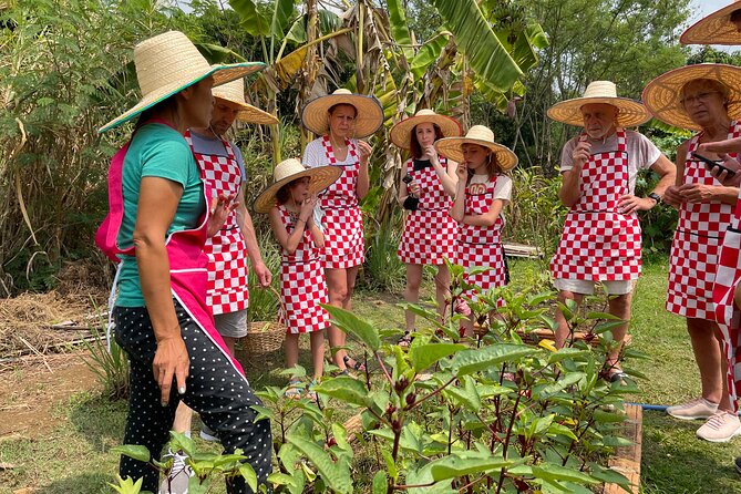 Half-Day Thai Cooking Class at Organic Farm in Chiang Mai - Key Things That Make This Class Worth Your Time